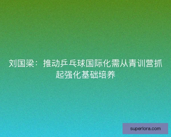 刘国梁:推动乒乓球国际化需从青训营抓起强化基础培养 刘国梁:推动乒乓球国际化需从青训营抓起强化基础培养